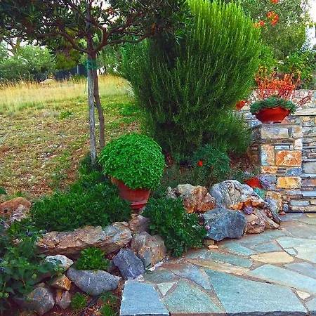 Flower Houses Villa