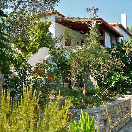 Flower Houses Villa